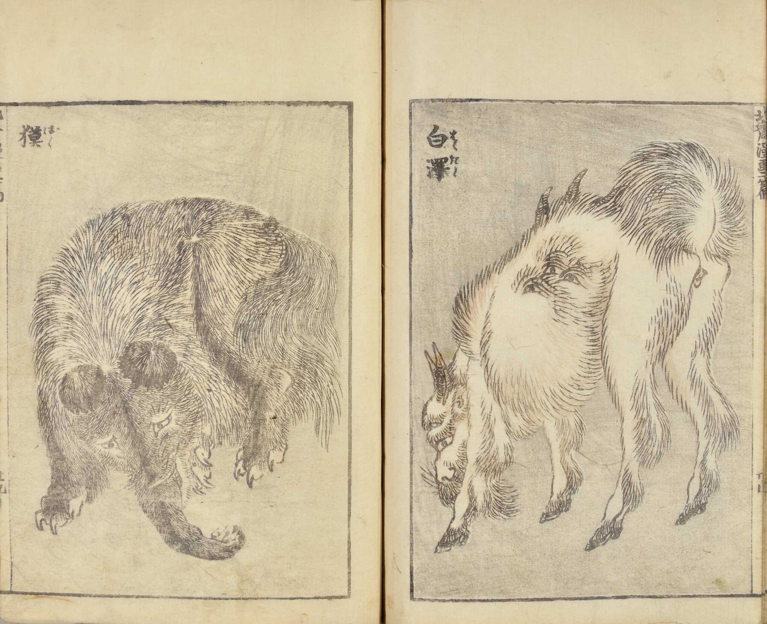 葛飾北斎　真物「伝神開手　北斎図考初編　全」　江戸末期絵手本　「北斎漫画」より 伝神開手北斎漫画』初編～十四編 | 所蔵作品 | 千葉市美術館