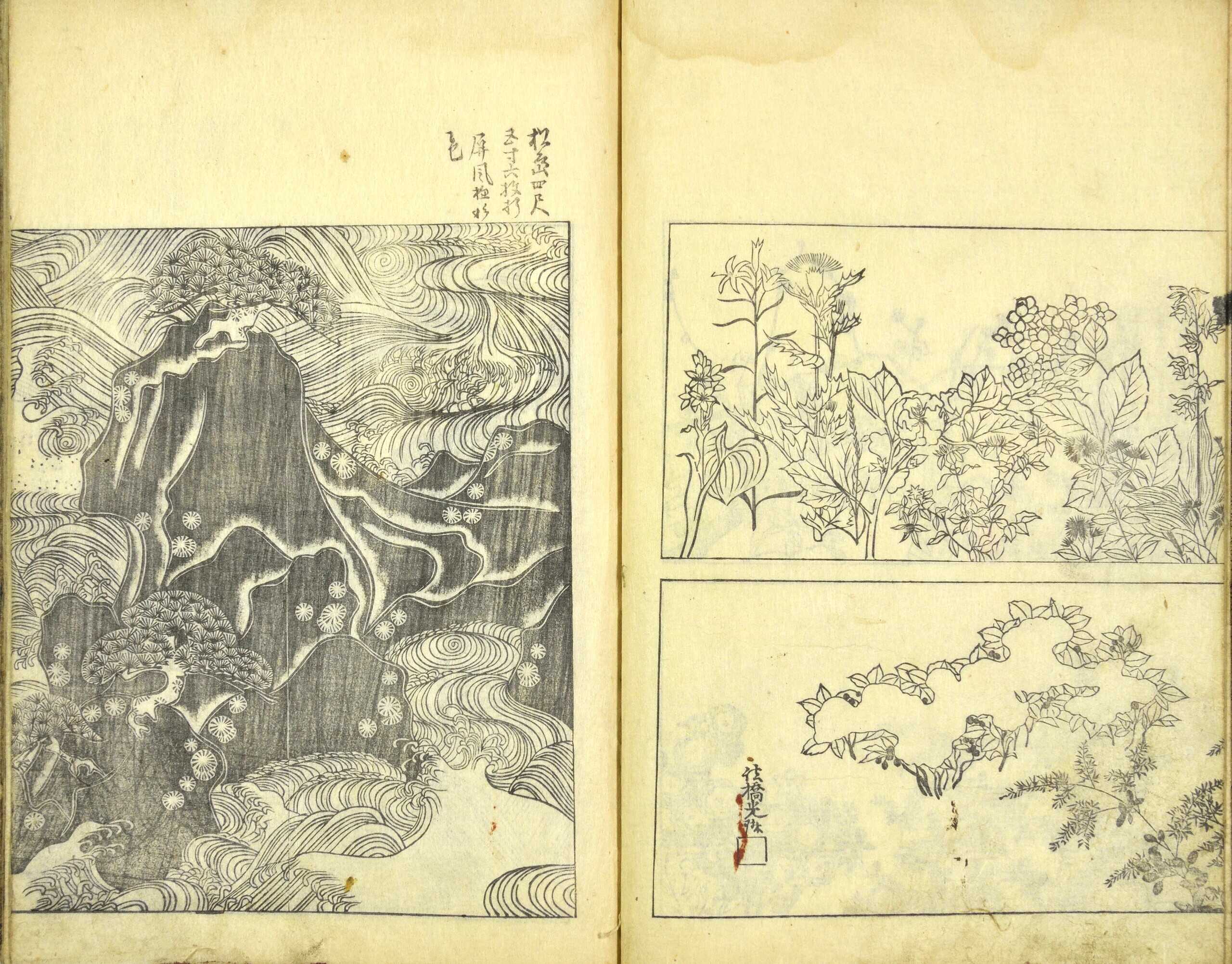 光琳百図』前編・後編 | 所蔵作品 | 千葉市美術館